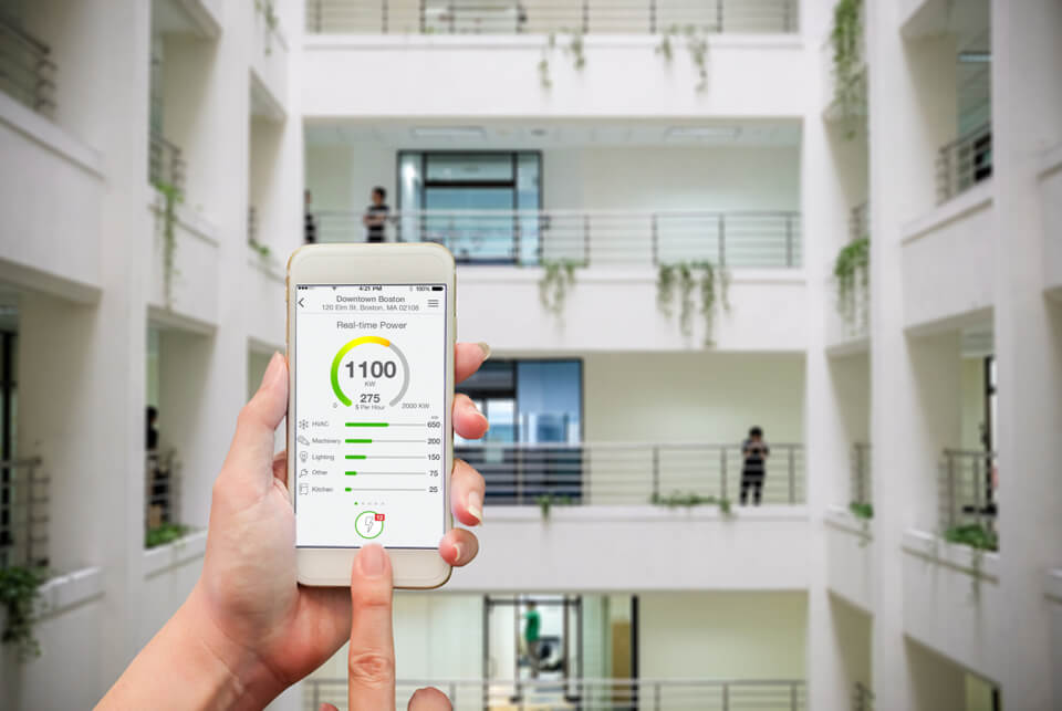 Person looking at energy data on their phone.