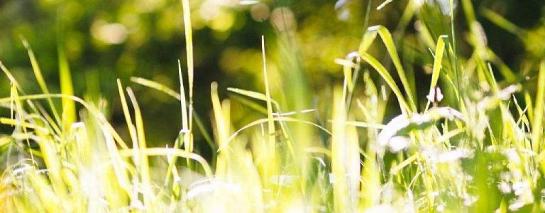 How our customers are building a more sustainable energy future